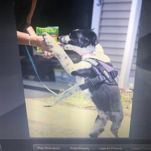 Meet your Posher, Kimberly